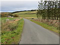 Minor road near the track entry to Cottertown