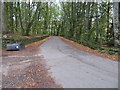 Minor road at the Mains of Blairmore