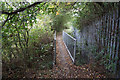 Peatlands Way towards Thorne