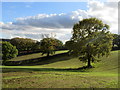 Farmland north of Alvanley