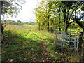 Redundant kissing gate