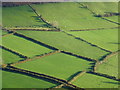 Fields below Castell Dinas