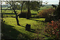 Garden with a view, Axbridge