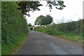 Horse riding on Cowgrove Road