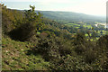 Southern slopes of the Mendips