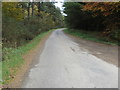 Road near the entrance to Coldwells