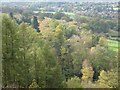 Autumn trees on the Malvern Hills