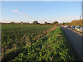 Parking by Cley Road