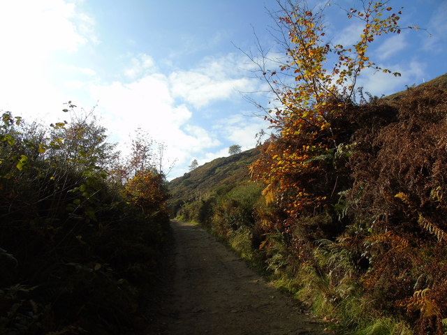 Path up Holcombe Hill