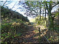 Footpath, Thurston Clough