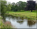 River Aire at Gargrave