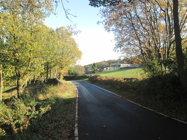 Bent Hills Lane