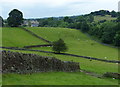 Sheep and pasture at Foulridge