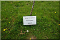 TF1081 : Memorial tree to Ronald T. P. Diamond by Ian S