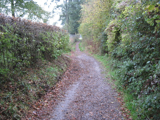 Pondside Lane towards Bishop's Waltham