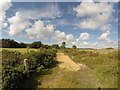 Stoborough Heath, Wareham, Dorset