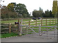 Paddock with Horses, near Blind Lane, West Hanningfield