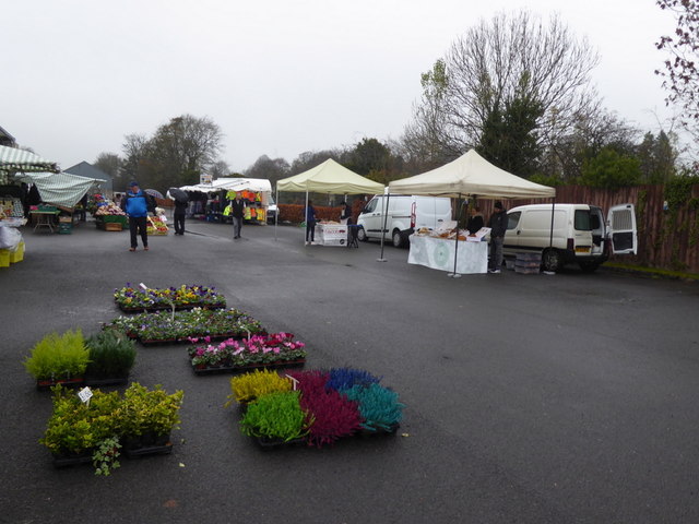 Flowers for sale, Omagh Variety Market