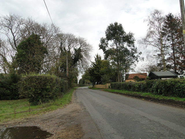 Bray's Lane from near Flybarn Farm
