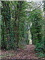 North Worcestershire Path near Iverley in Staffordshire