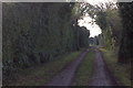 Path towards the River Stour