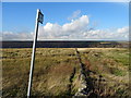 Footpath to New Lane