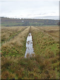 NJ0022 : Flood Plain Drainage by Anne Burgess