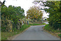 Back Street, Abbotsbury