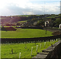 Grazing and covered reservoir