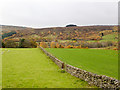 Wall separating two fields