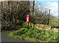 SE0615 : Elizabeth II postbox on New Hey Road by JThomas