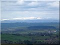 The Berwyns under snow