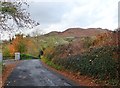 J0014 : Autumn colours on the Carrive Road by Eric Jones