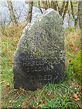 NJ0326 : Commemorative Stone by Anne Burgess