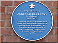 Blue plaque in Peacock Lane