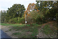 Footpath to Swanton Hill Common