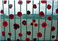 Remembrance poppies, Whitstable