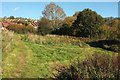 Green open space by Centenary Way