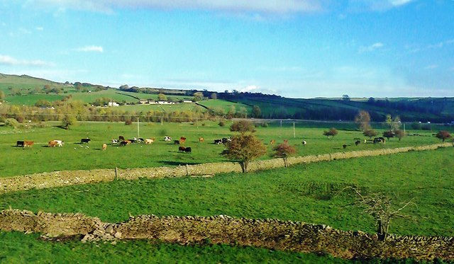Aire Valley Farmland