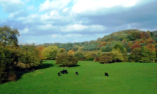 Aire Valley Farmland View