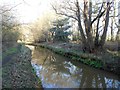 Mill Bourne: Upstream of Emmett