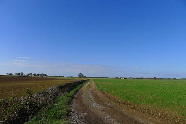Track leading into fields north of Whitwell