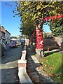 Robert Owen Memorial Garden dressed up for remembrance