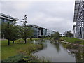 Pond in landscaping at Eurocentral