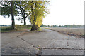 Farm track to Wood Farm