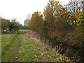 Bedale Beck