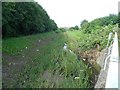 Ingrebourne River in Rainham (2)