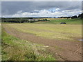 View towards Raeburn Common