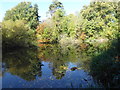 Autumn reflections at Manor Park Country Park