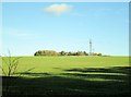 Over  arable  field  to  West  Farm  and  mast